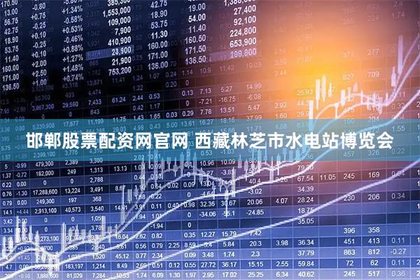 邯郸股票配资网官网 西藏林芝市水电站博览会