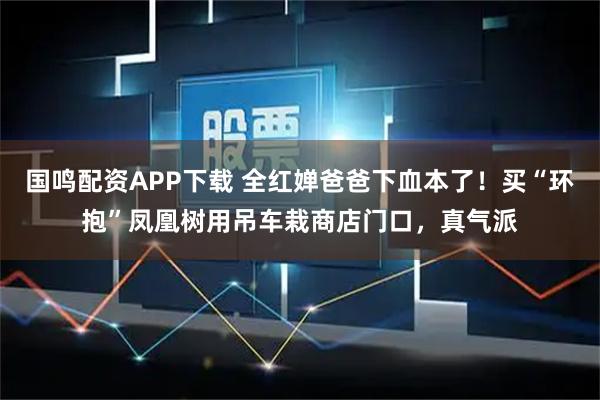 国鸣配资APP下载 全红婵爸爸下血本了！买“环抱”凤凰树用吊车栽商店门口，真气派