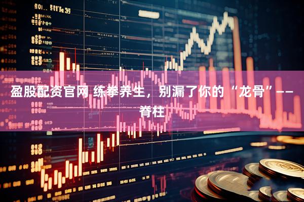盈股配资官网 练拳养生，别漏了你的 “龙骨”——脊柱